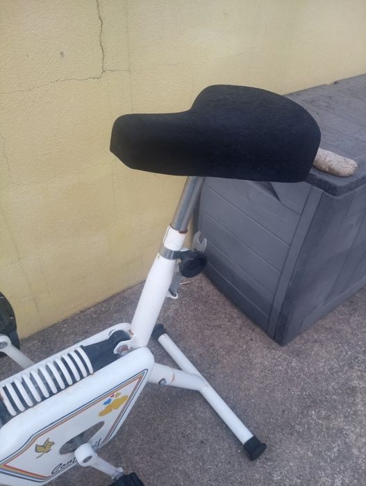 Bicicleta vintage estática