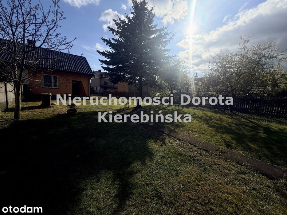 Zdjęcie 8