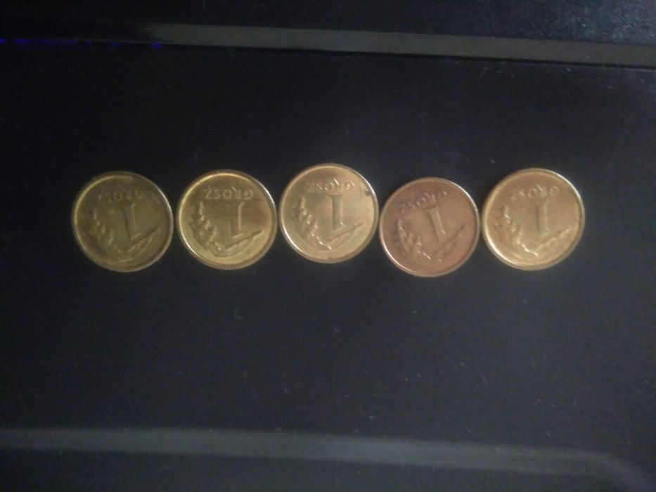 Moedas de 1 Grosz -Polónia