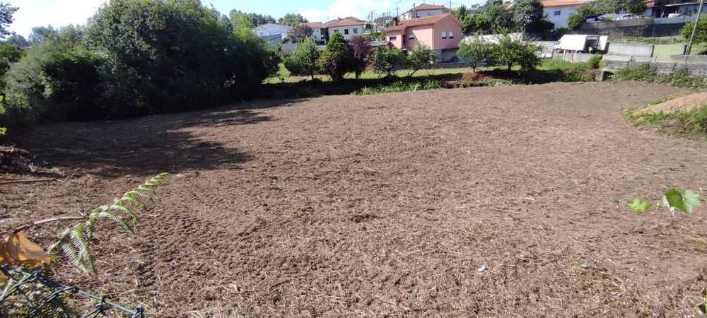 Limpeza de Terrenos Florestais · Abate de Árvores · Lenha · Jardinagem