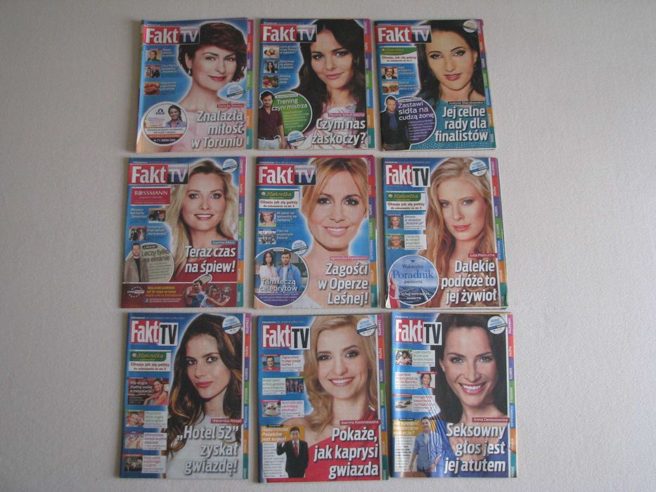 Gazeta Fakt TV, program telewizyjny z roku 2013