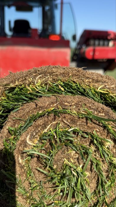 relva natural em tapete