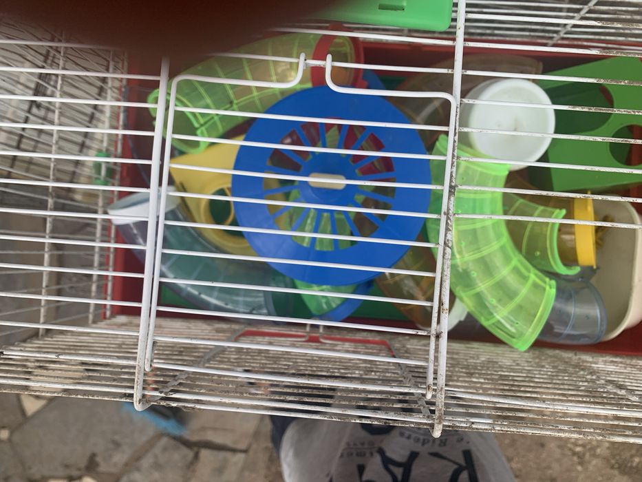 Gaiola para amster como nova
