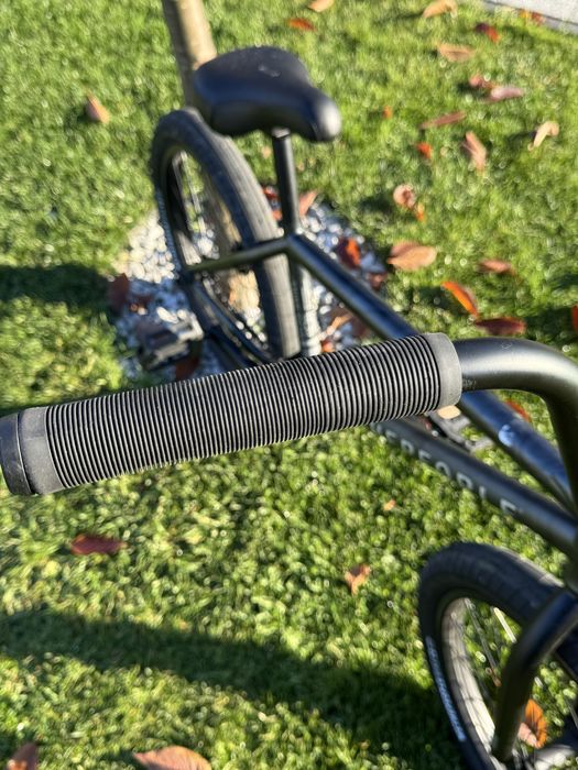 Wethepeople Justice 20.75’