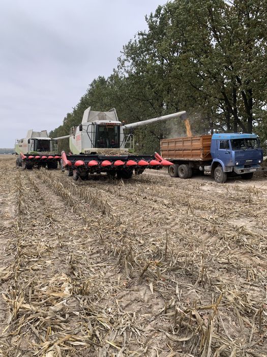 Кукурузная жатка Capello