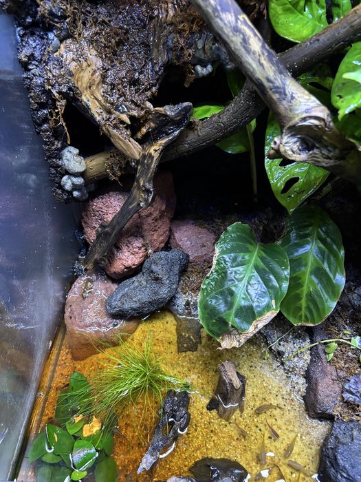Paludarium 60x45x90