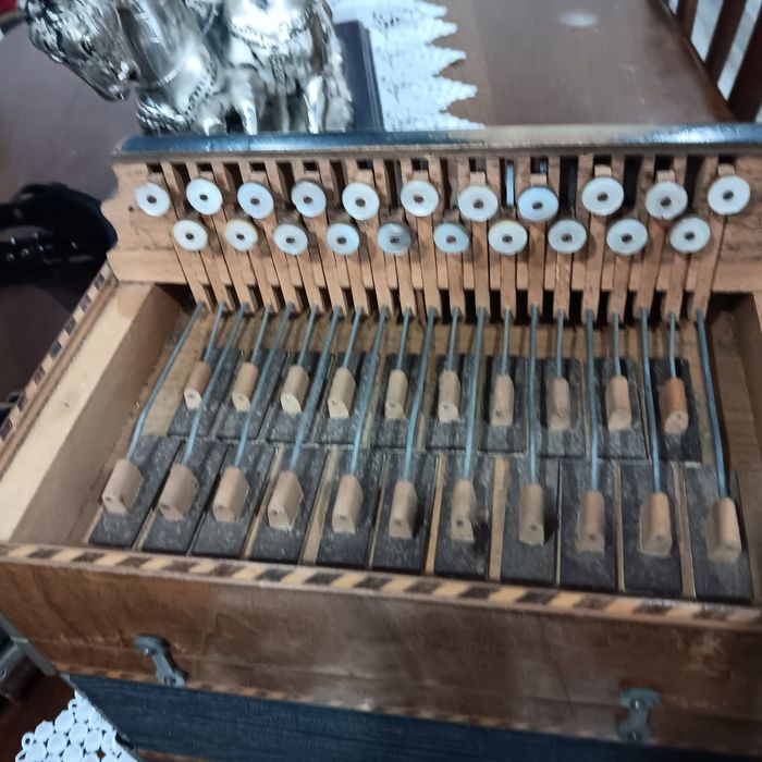 Concertina  para venda