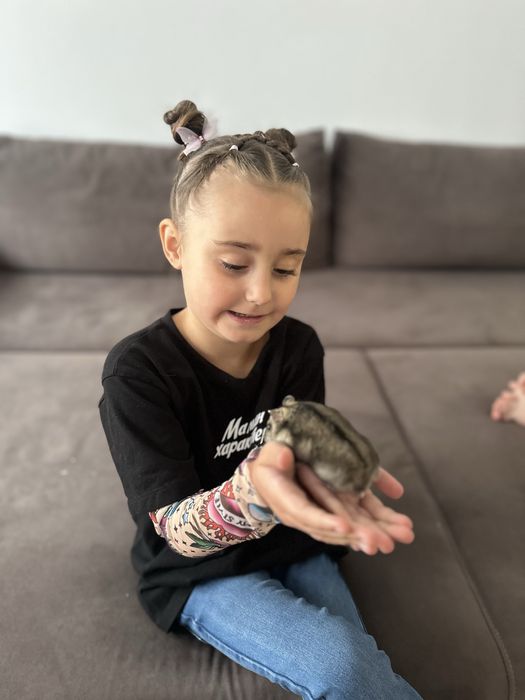 Хомʼяк з кліткою, клітка для хомʼяка