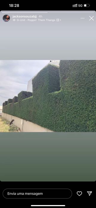 Limpeza e manutenção de jardins