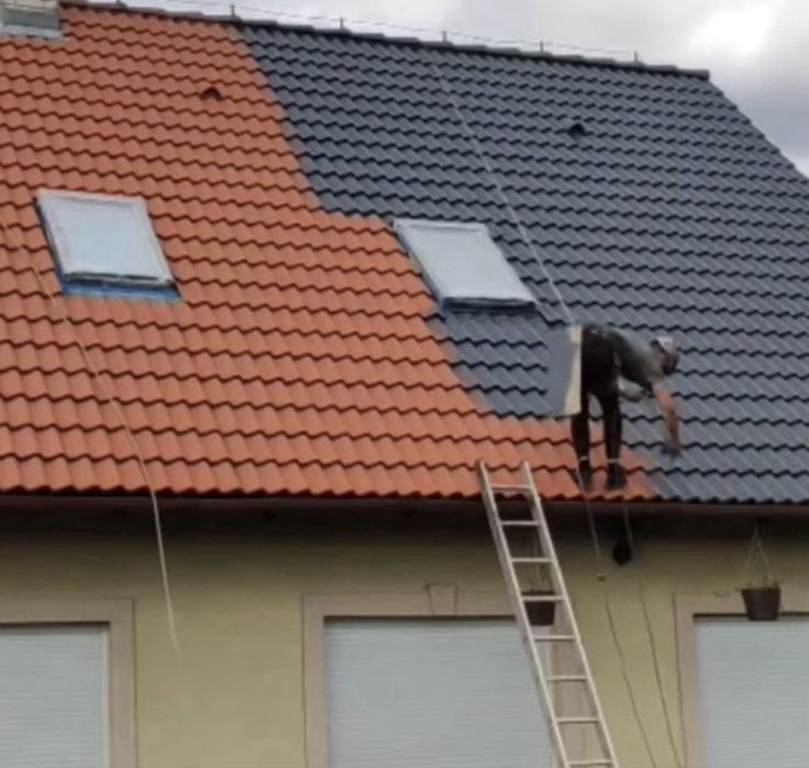 Фарбування дахів  | Очищення, реставрація Черкаська київська обл