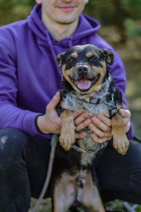 Dracula z nadzieją czeka na dom