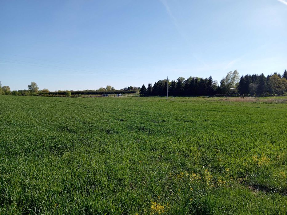 sprzedam działkę budowlaną