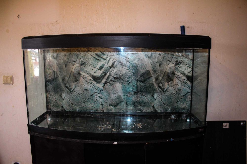 Aquário 300 L com móvel – 120 cm