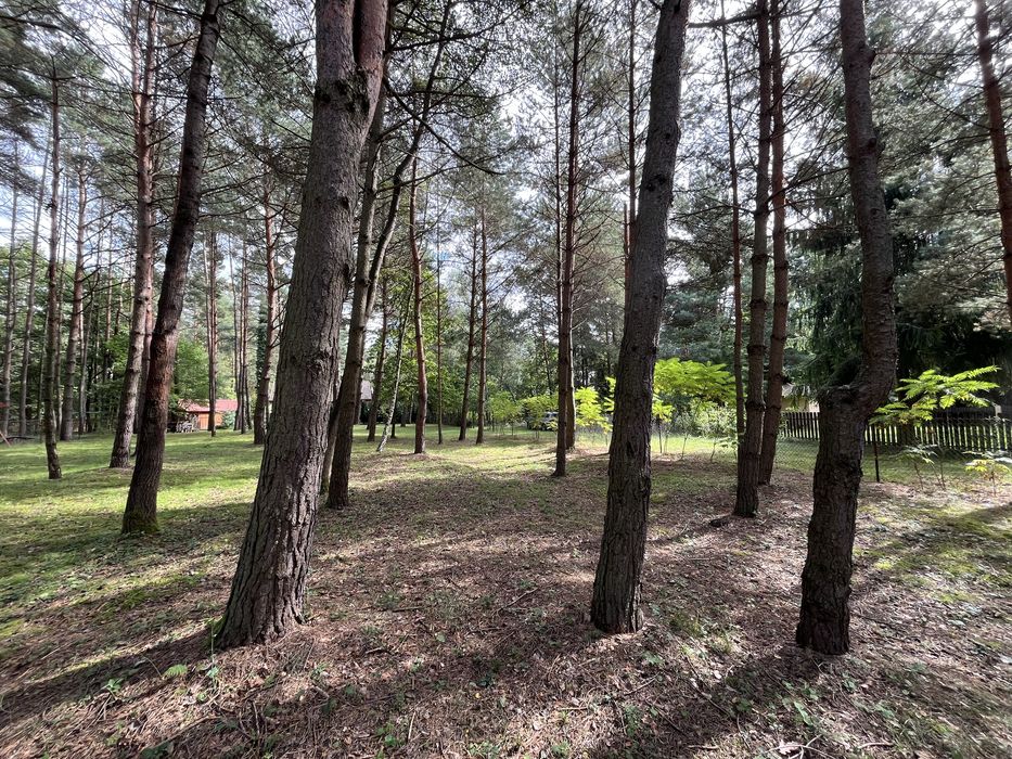 Radawa dzielnica Kudryki