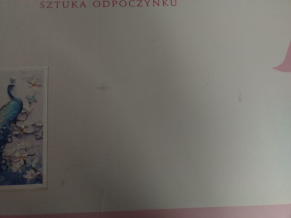 Nowy zestaw do malowania po numerach Paw,