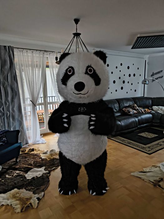 Animacje miś urodziny/imprezy