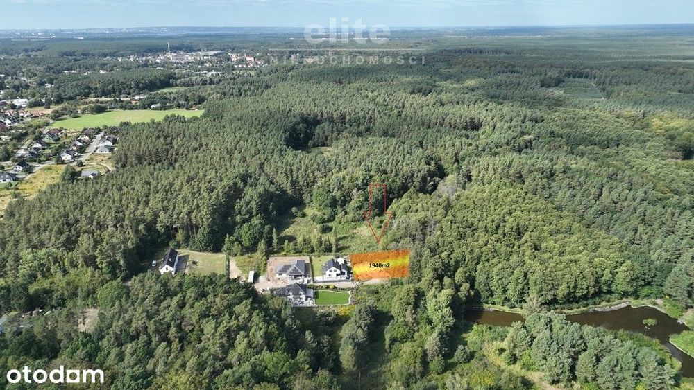 Działka 1940 m² przy lesie – Szczecin Płonia