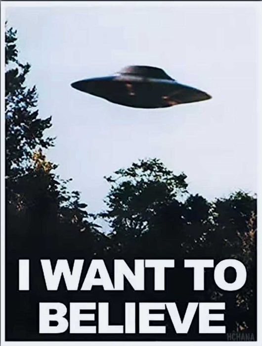 Металлическая табличка "I WANT TO BELIEVE" Секретные материалы 14х20см