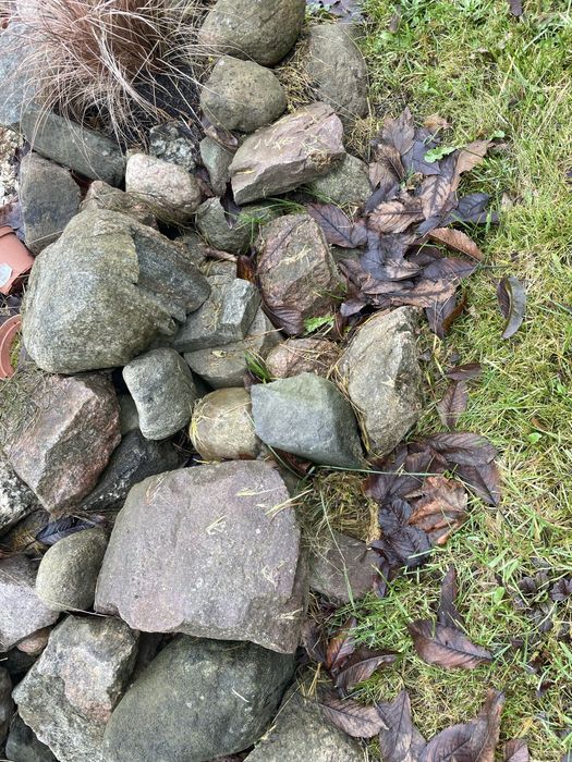 Kamienie polne za darmo