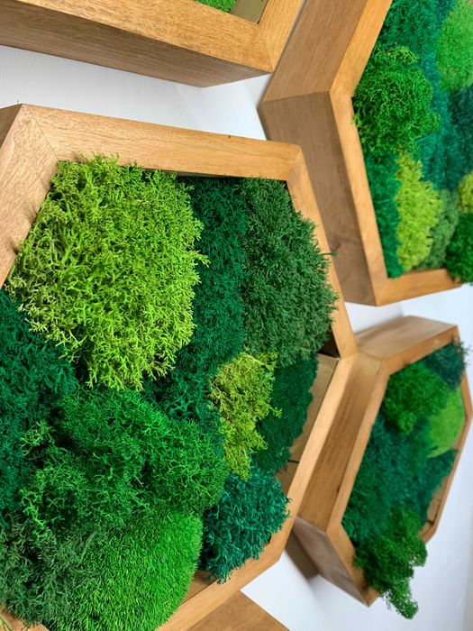 Декор из мха,натуральное дерево с мхом,декор под заказ,ЗВОНИТЕ!