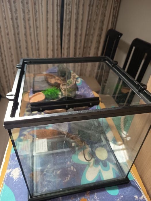 Terrareo para reptil