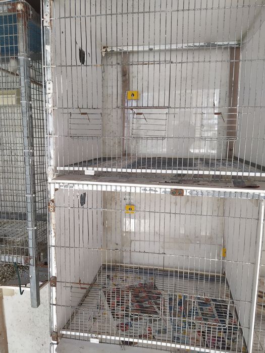Voadeira para aves