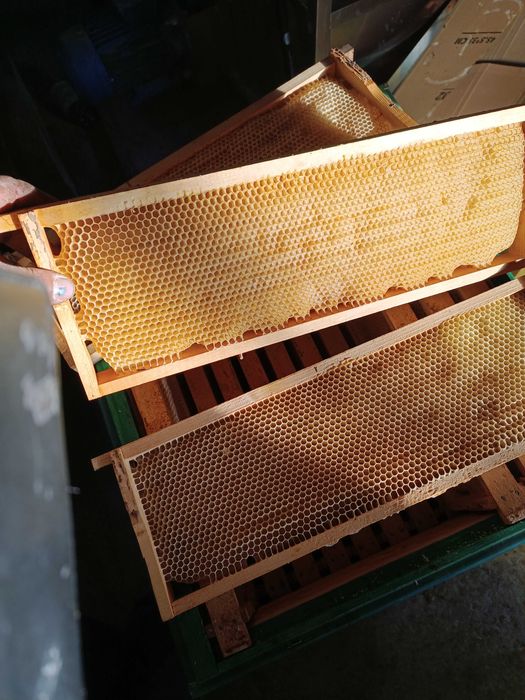 Продам суш піврамка 145 мм