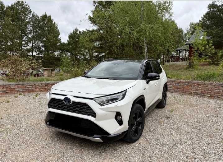Toyota RAV4 2.5 Hybrid 4x2 2019