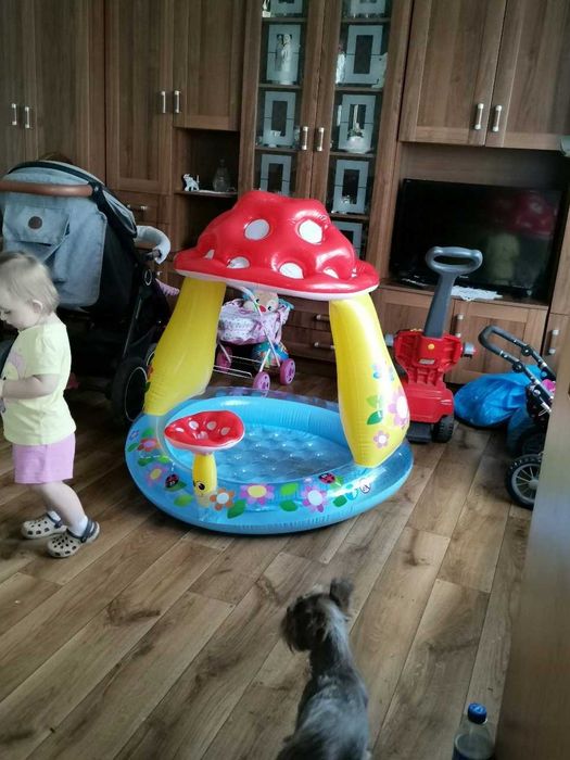 Basen Dmuchany dla Dzieci z Daszkiem Muchomorek 102 cm - NOWY