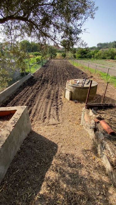 Limpeza de quintais , pequenos e médios terrenos agrícolas