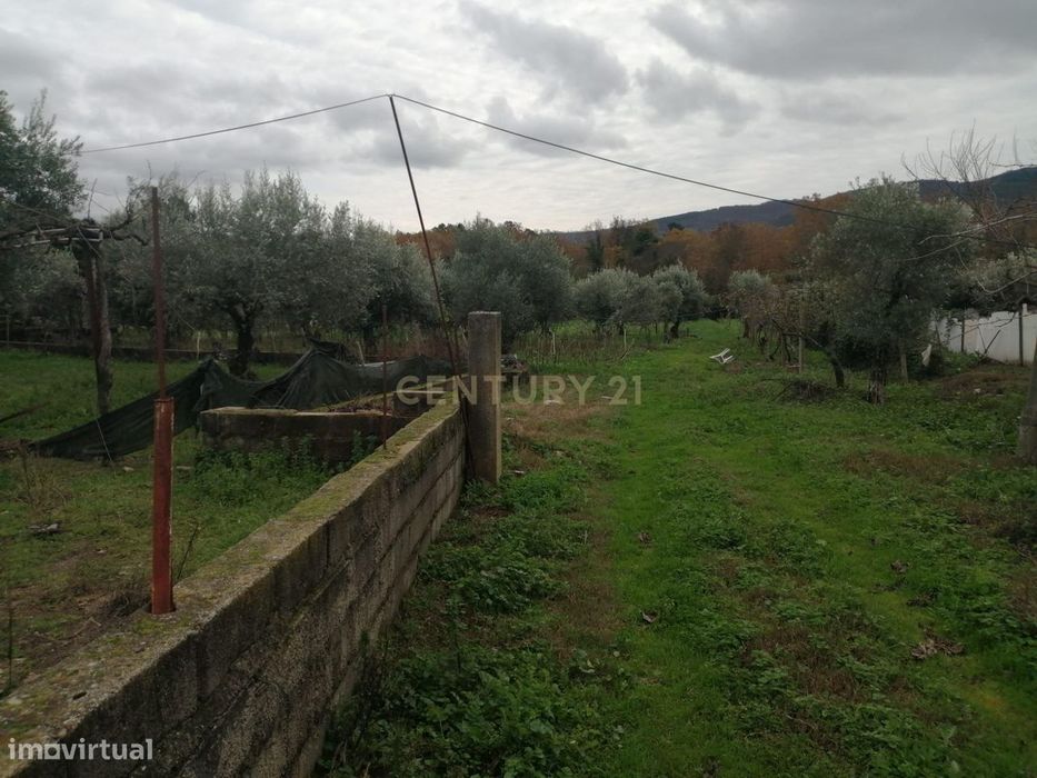 Terreno Rústico no Fundão — Fundão, Valverde, Donas, Aldeia De Joanes E Aldeia Nova Do Cabo, Castelo Branco