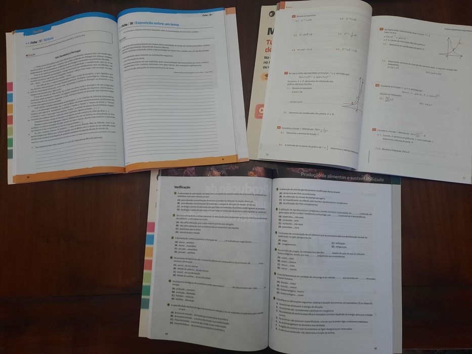 Cadernos de atividades 12° ano