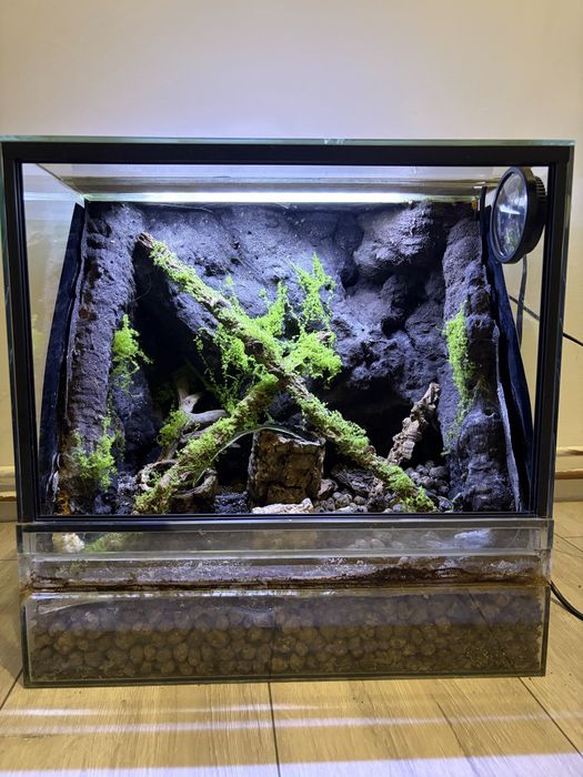 Terrarium z wodospadem