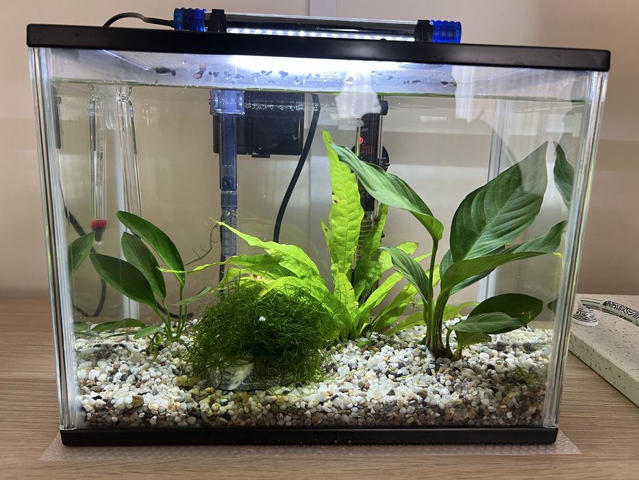 Aquario 13L com acessorios incluidos para montagem imediata