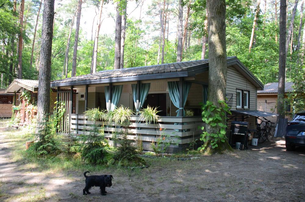 Domek 4 os. w lesie nad jeziorem k. Płocka (Grabina)