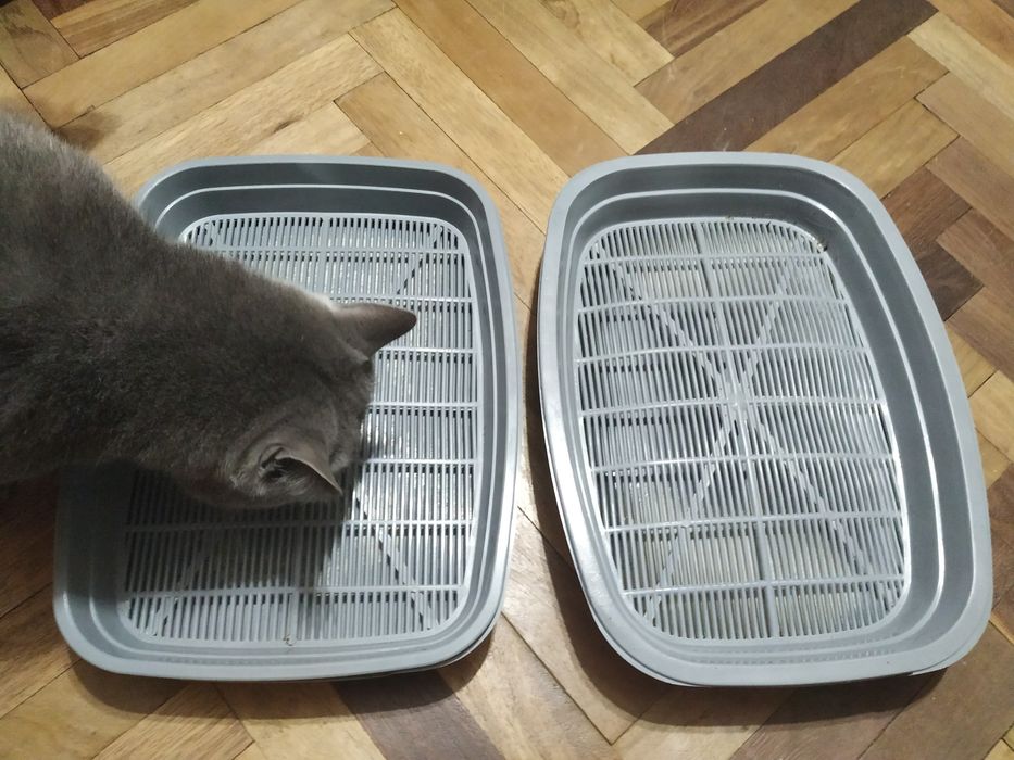 Кошачие туалты с сеточкой