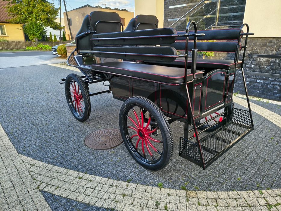 Bryczka konna treningowa powóz wagonetka