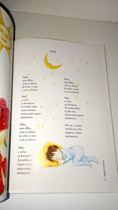 Poemas da Mentira e da Verdade - Luisa Ducla Soares