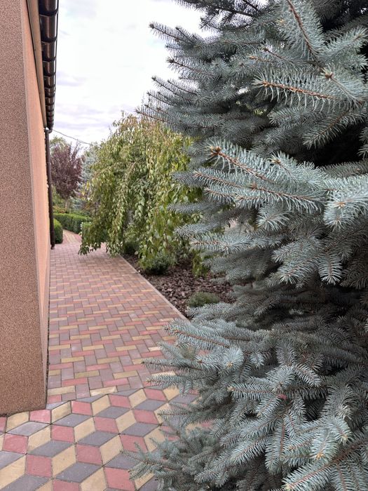 Продам Дім Провулок Польовий 10