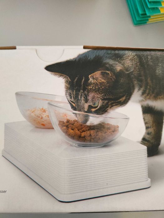 Miska szklana dla kota