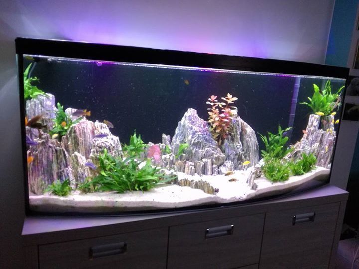 Каміння для акваріума мерехтливе дерево (GLIMMER WOOD ROCK)