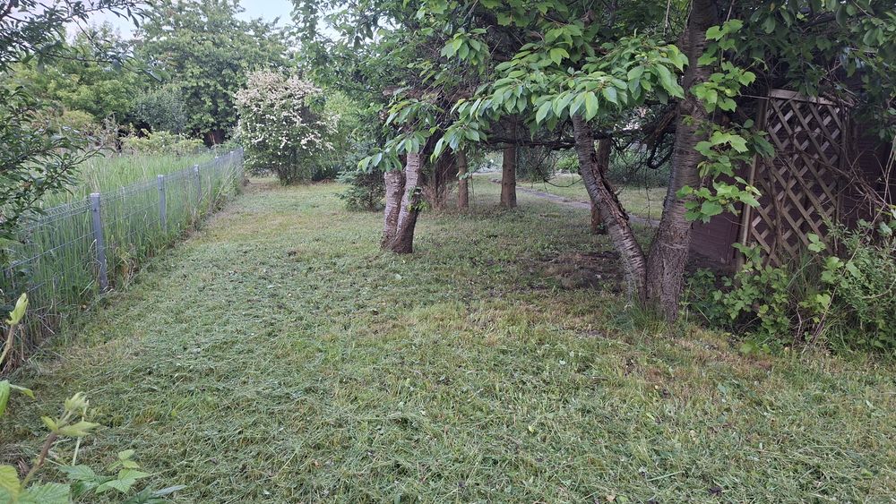 ROD Poświętne, Polanowice, Krzyżanowicka, Lekarska, Aptekarska - View 4