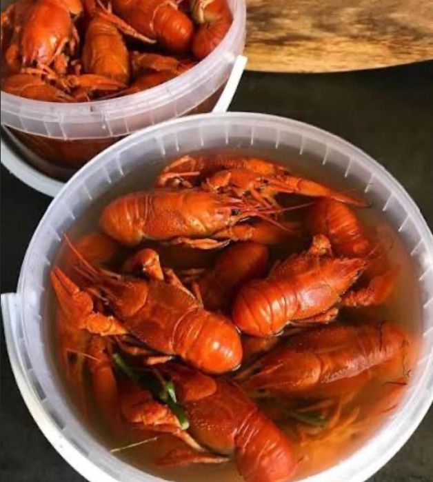 Продам живі раки та живу рибу
