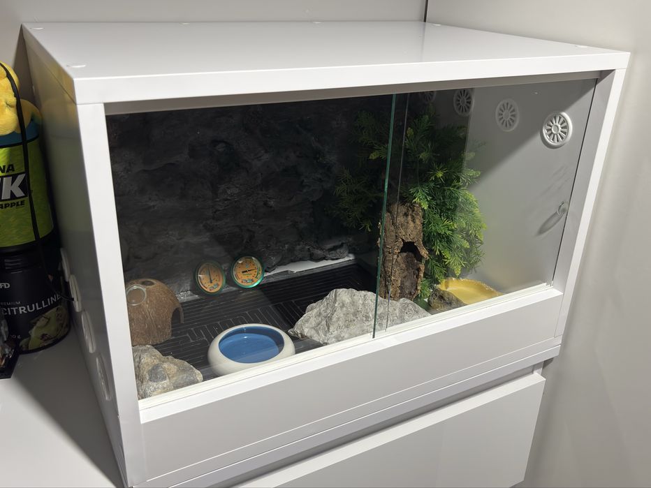 Terrarium 60x40x40 ze scianka i wyposazeniem