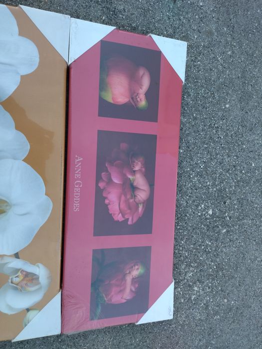 Conjunto de telas Anne Geddes