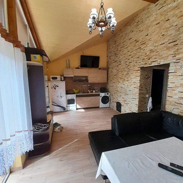 Котедж в заповідній зоні Карпати