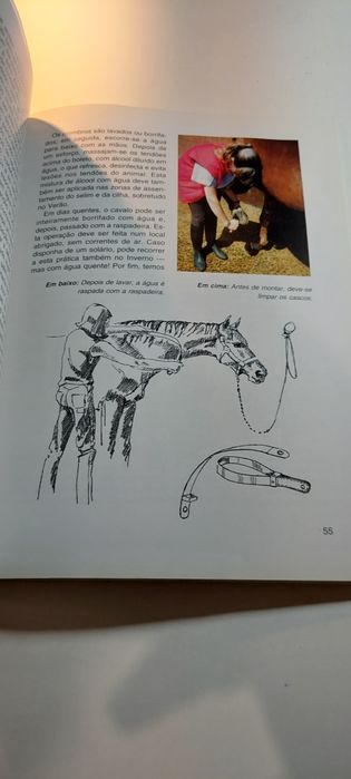 O Cavalo para Equitação - Petra, Wolfgang Hölzel
