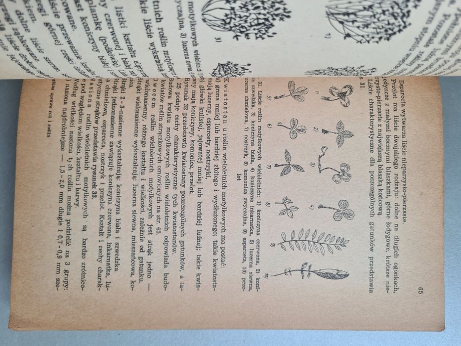 Ogólna uprawa roli i roślin - Książka