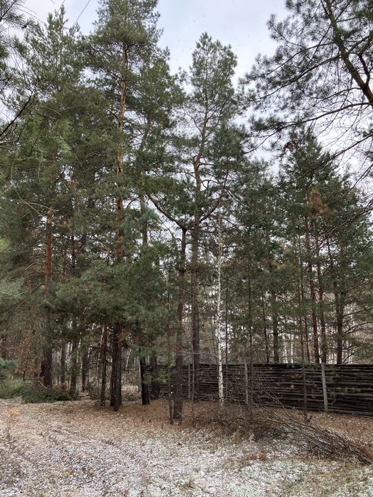 Продаж дачноі ділянки