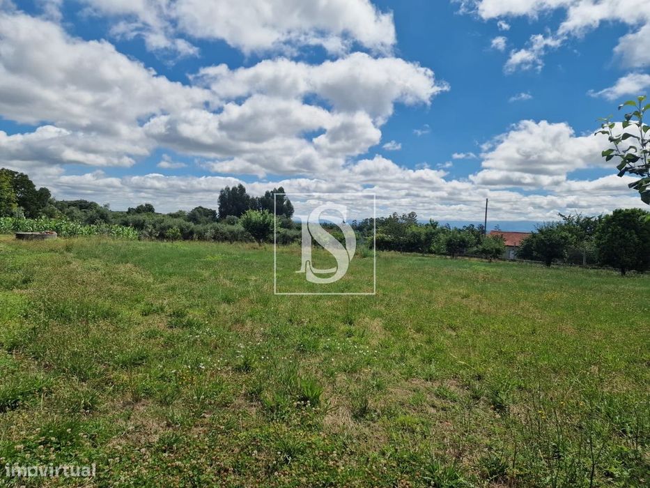 Terreno  Venda em Mouraz e Vila Nova da Rainha,Tondela